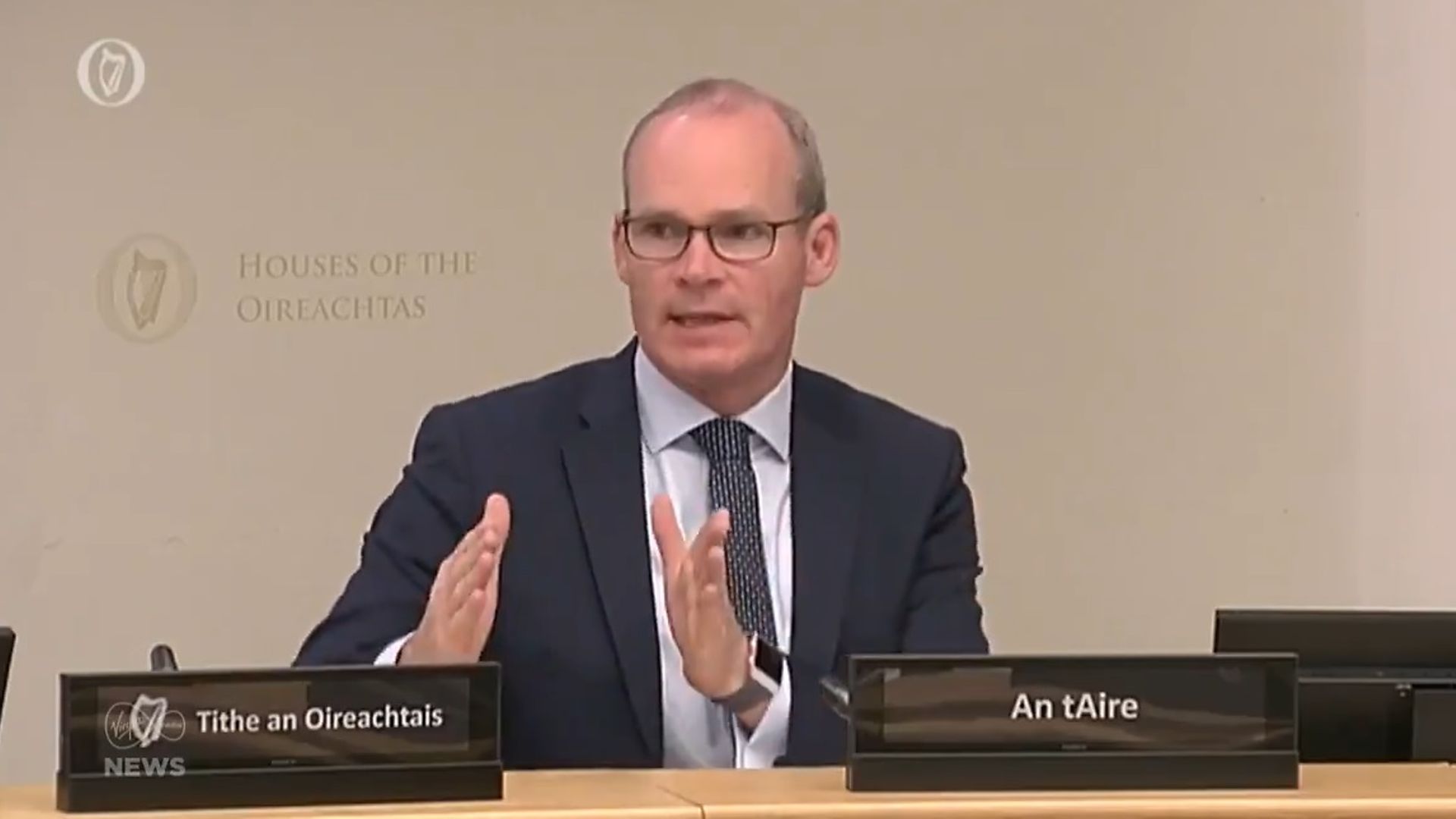 Simon Coveney at the European Union Affairs Committee - Credit: Oireachtas TV