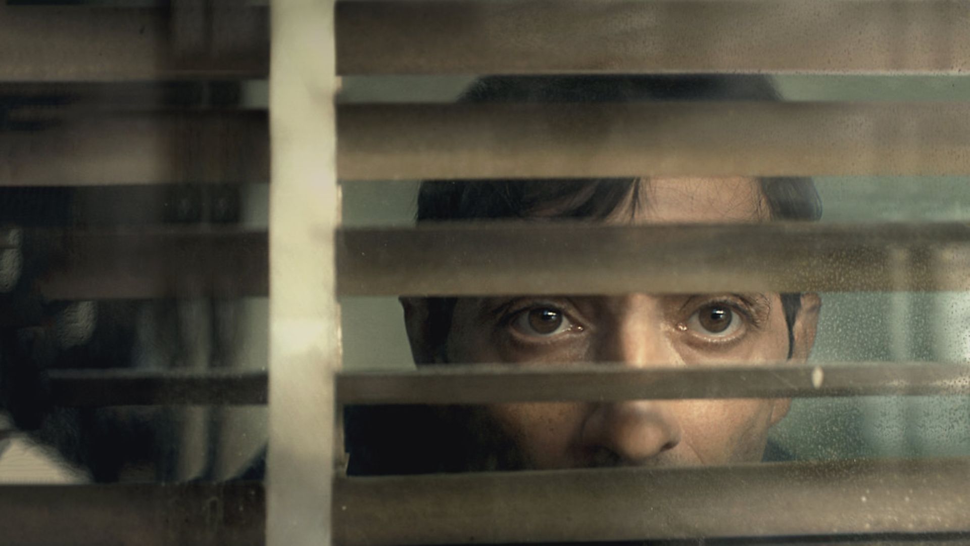 Marcello Fonte stars in Dogman. Picture: Curzon - Credit: Archant