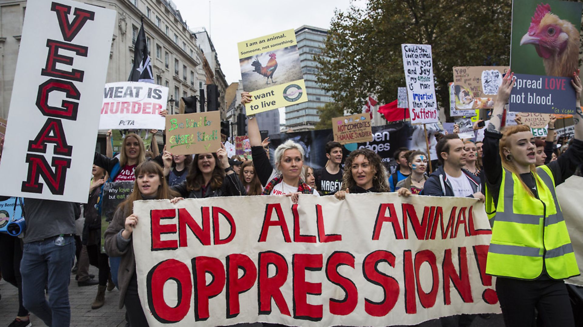 Protesters hold placards and banners during an animal rights march on October 29, 2016 in London. Photo by Jack Taylor/Getty Images - Credit: Getty Images