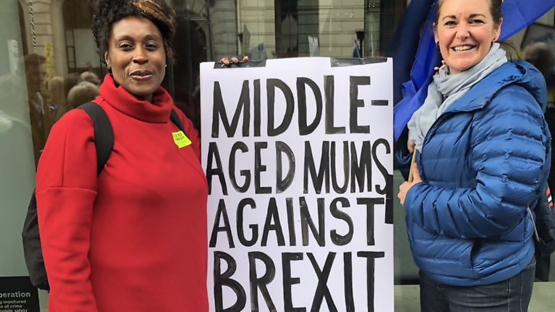 People's Vote Placards (SamRich39/Supplied) - Credit: Archant