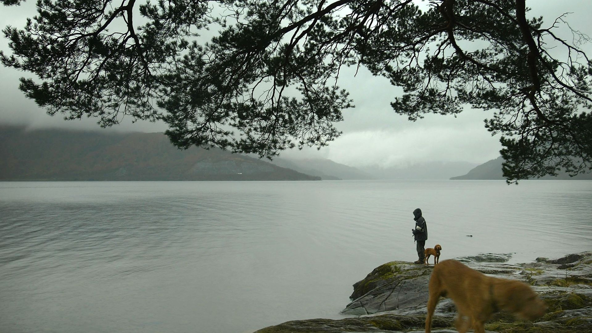 Tourists visit the banks of Loch Lomond - Credit: Getty Images