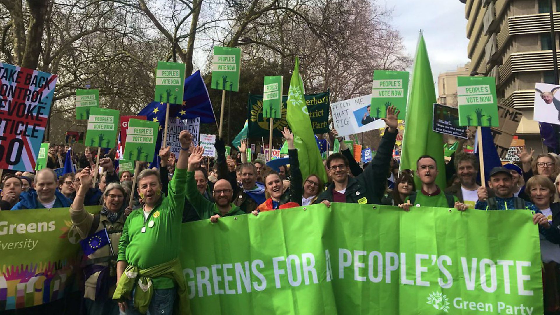 Anti-Brexit campaigners in the Green Party calling for a People's Vote. Photograph: Twitter. - Credit: Archant
