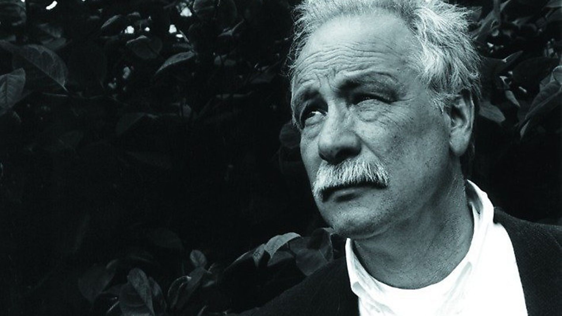 Author and academic professor WG 'Max' Sebald. Picture: Archant - Credit: Archant