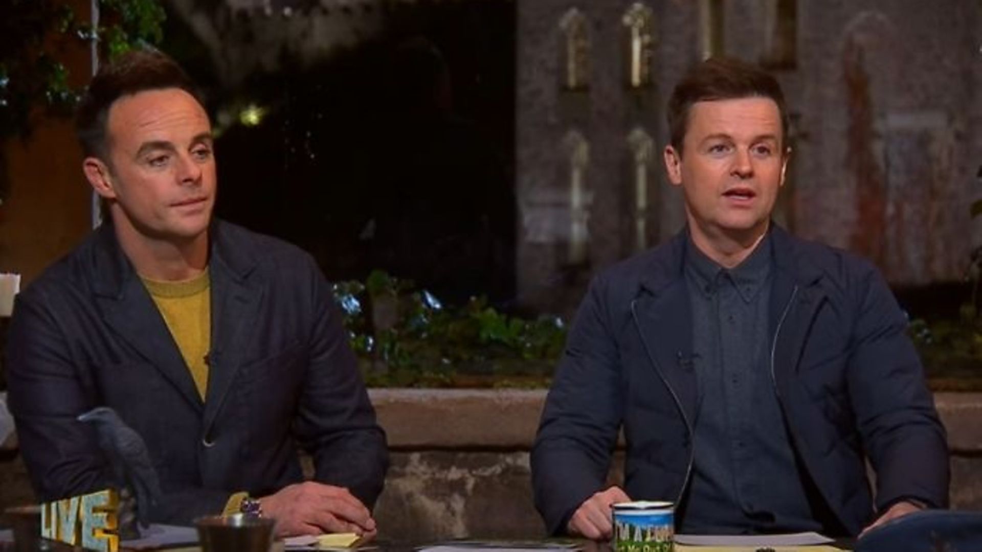 I'm A Celebrity co-hosts Anthony McPartlin and Declan Donnelly - Credit: YouTube, I'm A Celebrity... Get Me Out Of Here!