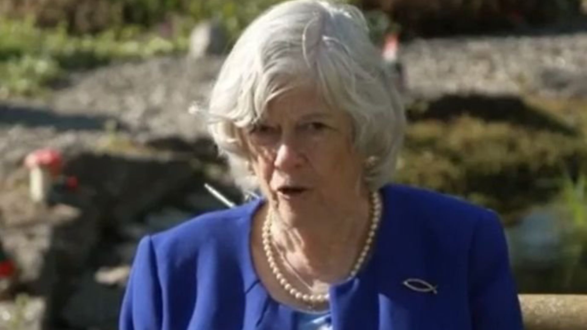 Ann Widdecombe has cancelled her National Trust membership in protest at the body's 'woke games'. - Credit: Archant