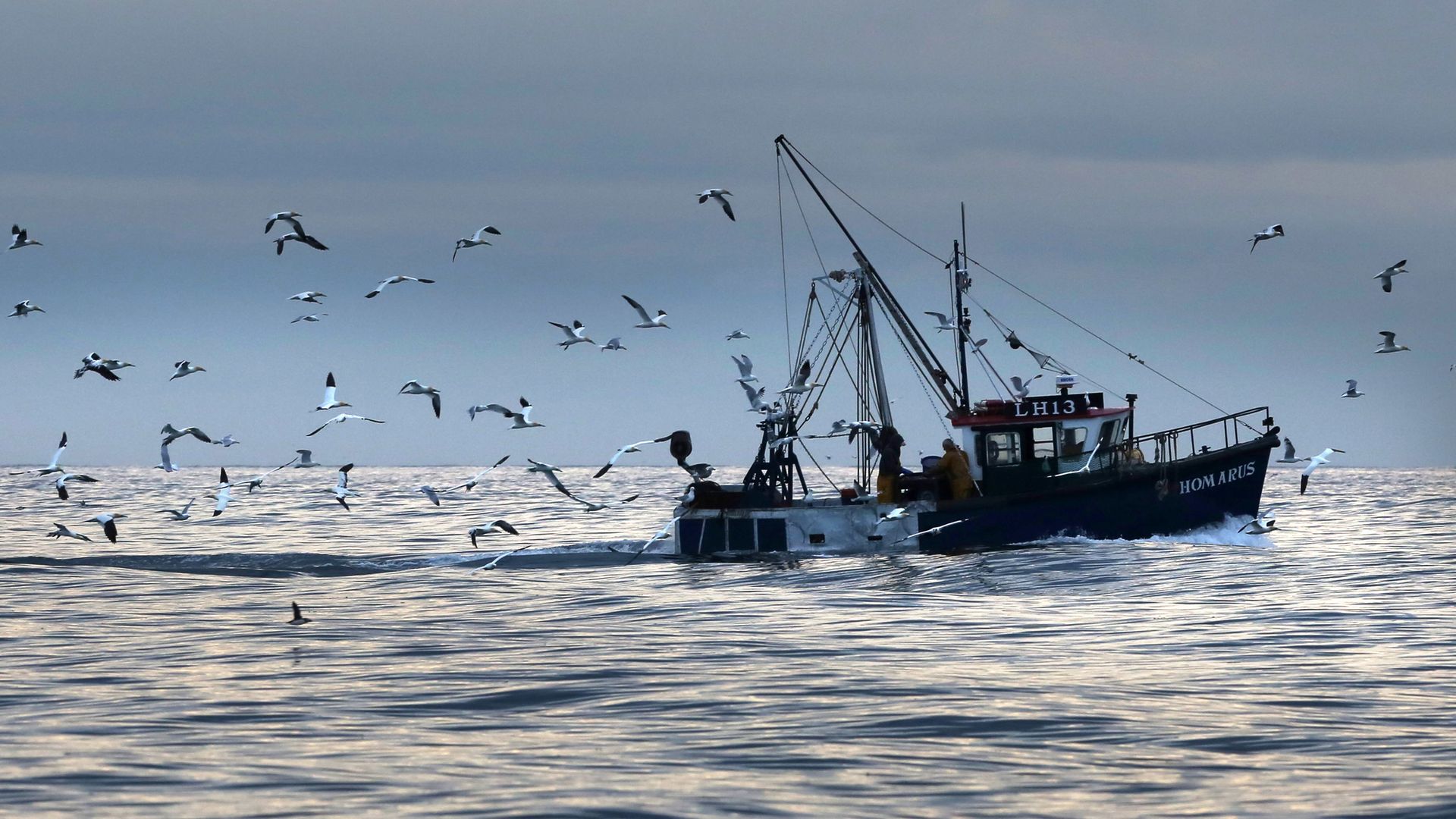 Scottish inshore fishermen at work off the east coast of Scotland, near Bass rock. - Credit: PA