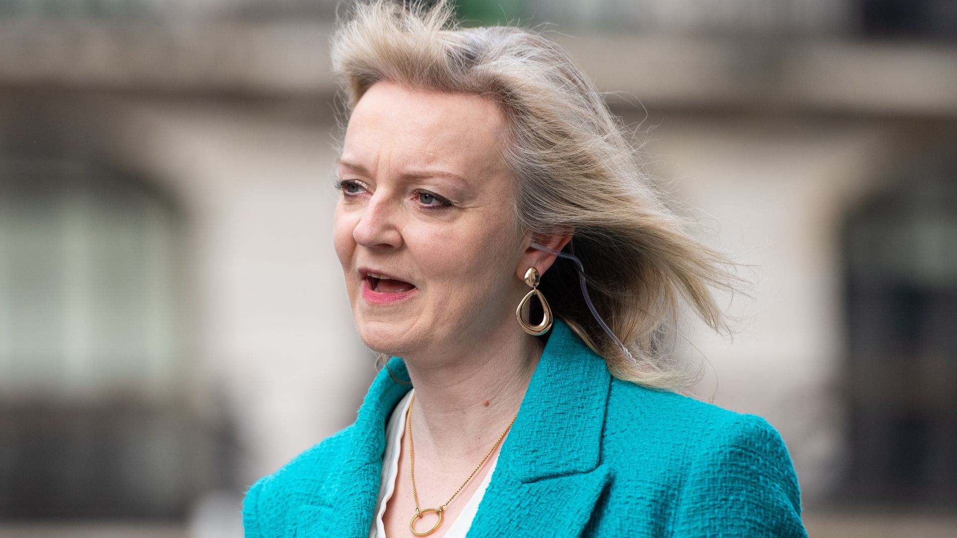 Liz Truss said No 10 would try to undo many of Boris Johnson's Brexit trade deal checks - Credit: PA