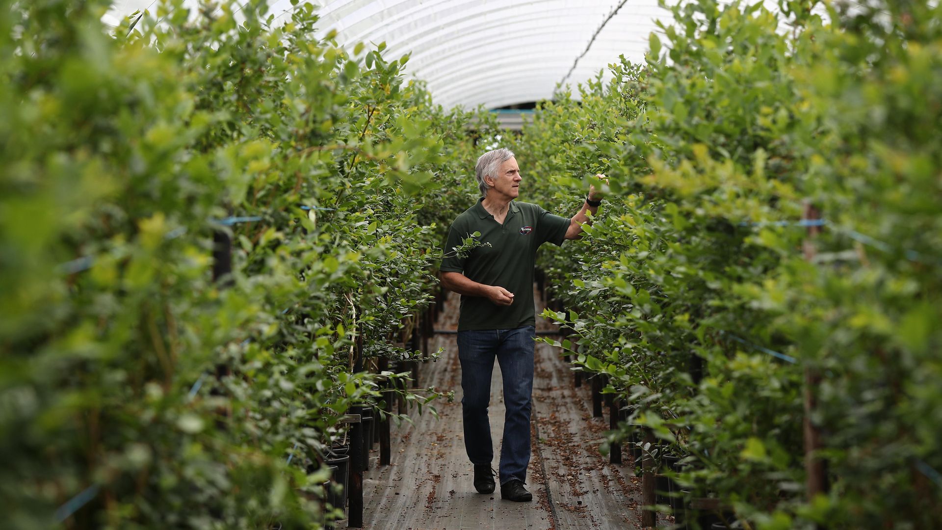 Stephen Taylor, Managing Director of Winterwood Farms fruit farm in Maidstone, Kent, says he is struggling to fill positions for fruit pickers in the summer months with the number of seasonal workers applying down 90% - Credit: PA Wire/PA Images